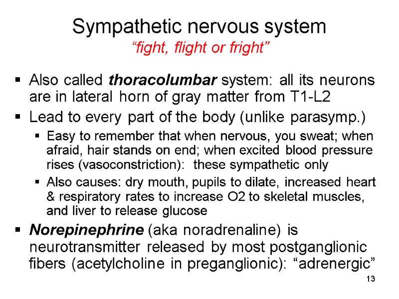 13 Sympathetic nervous system “fight, flight or fright” Also called thoracolumbar system: all its